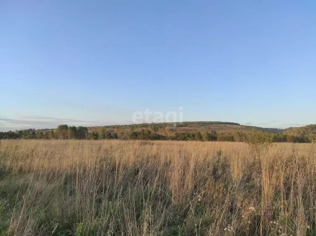 Участок в Кемеровская область, Новокузнецкий муниципальный округ, ... - Фото 1