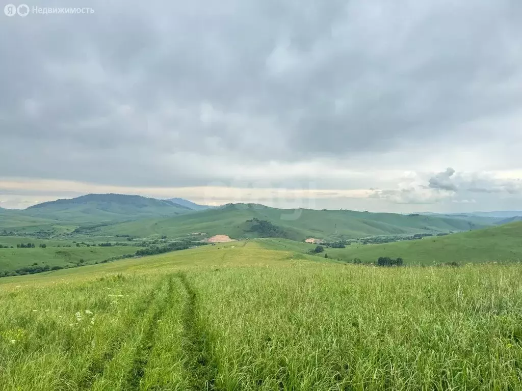 Участок в Алтайский район, ДНТ Жемчужина Алтая (8.75 м) - Фото 2
