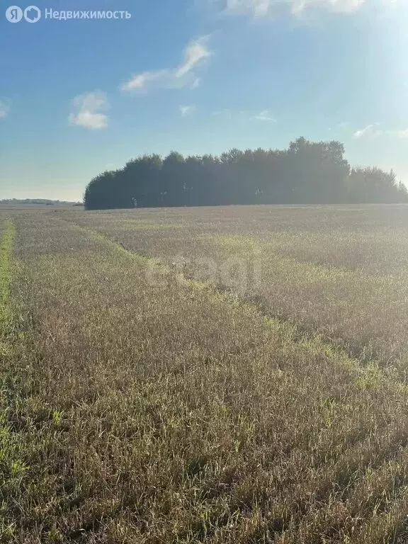Участок в Саргатский район, село Новотроицк (3.949 м) - Фото 2