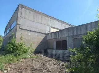 Помещение свободного назначения в Владимирская область, Кольчугинский ... - Фото 0