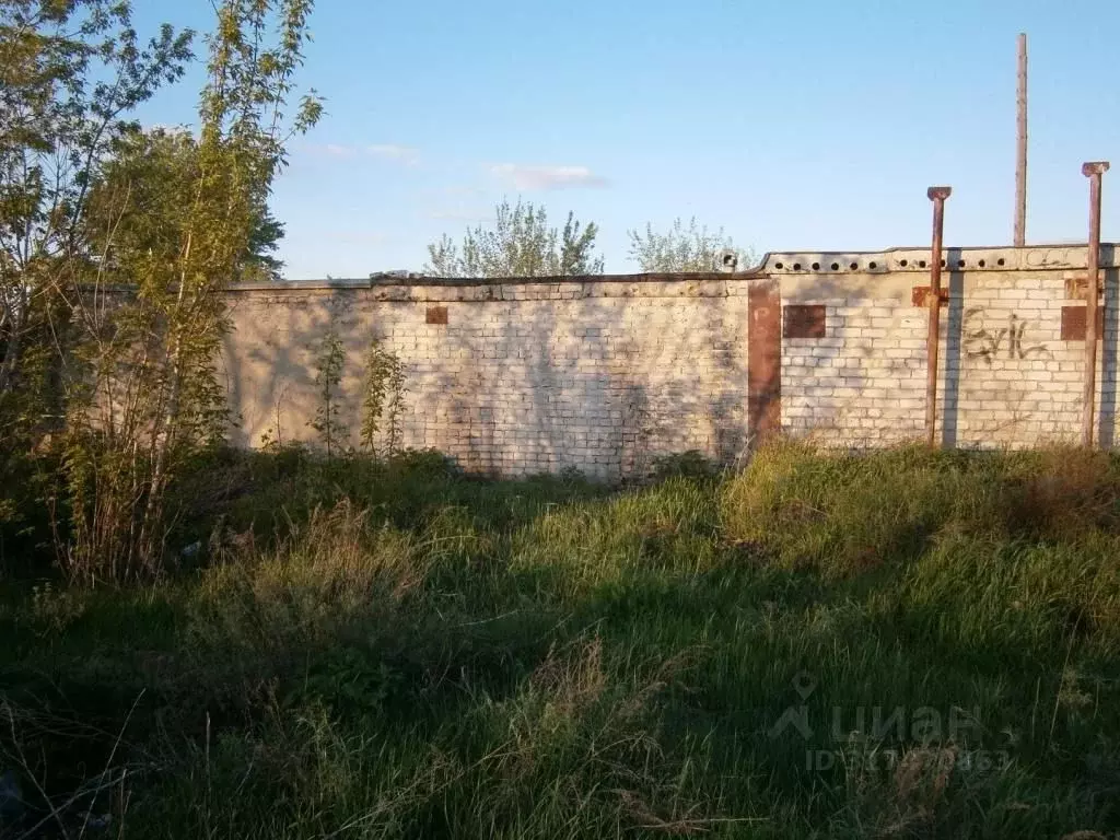 Гараж в Курганская область, Курган ГСК 43 тер., 149 (24 м) - Фото 1