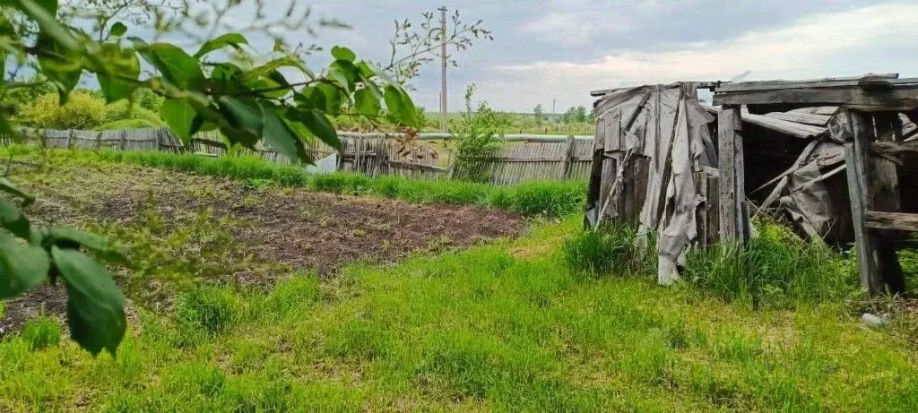 Участок в Амурская область, Белогорский муниципальный округ, с. ... - Фото 2