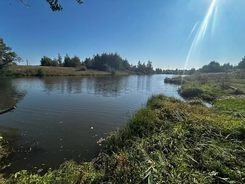 Участок в Московская область, Кашира городской округ, д. Тимирязево  ... - Фото 0