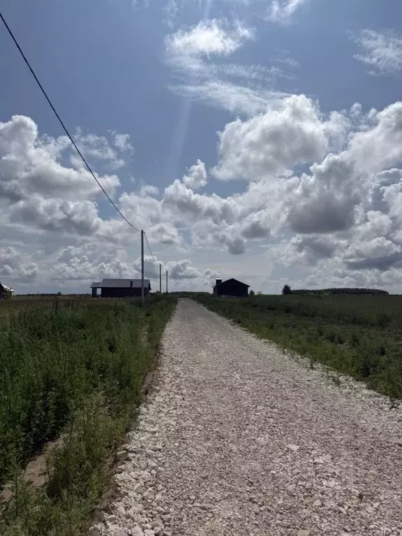 Участок в Татарстан, с. Верхний Услон ул. Родины (10.0 сот.) - Фото 1