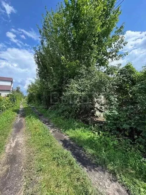 Участок в Воронежская область, Воронеж Память Мичурина СНТ, ул. ... - Фото 1