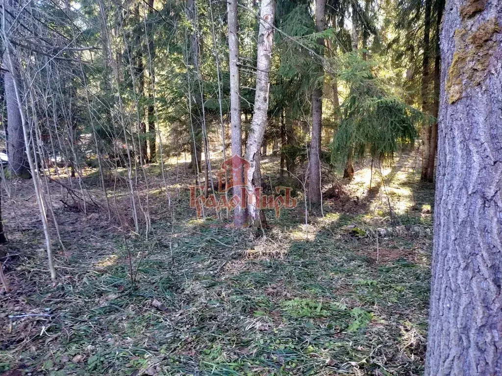 Участок в Московская область, Пересвет Сергиево-Посадский район, ул. ... - Фото 1