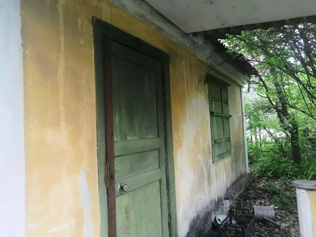 Дом в Челябинская область, Челябинск Колющенец СНТ, ул. 22-я (36 м) - Фото 0