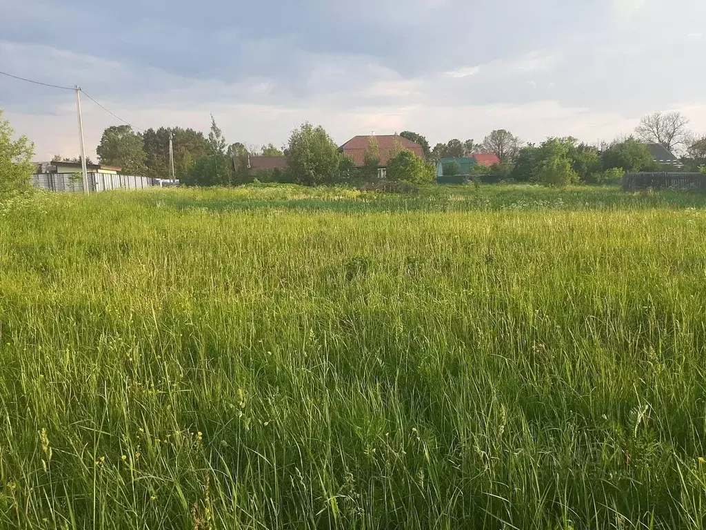 Участок в Владимирская область, Александровский район, Андреевское ... - Фото 0