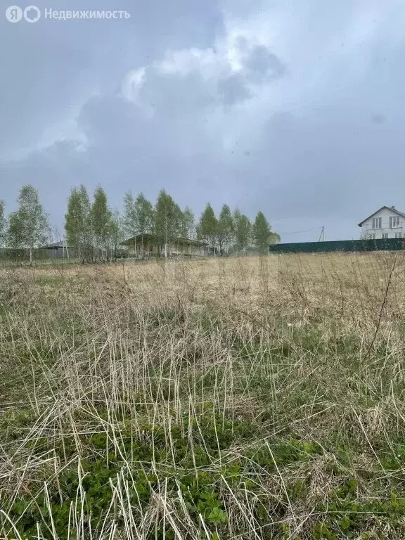 Участок в Калужская область, Козельский муниципальный округ, сельское ... - Фото 1