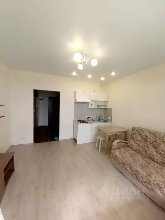 Студия Ленинградская область, Ломоносовский район, Аннинское городское ... - Фото 2