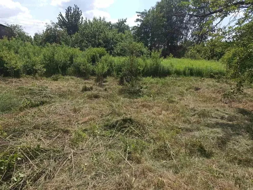 Участок в Брянск, садовое объединение Вишня-2, 168 (12 м) - Фото 2