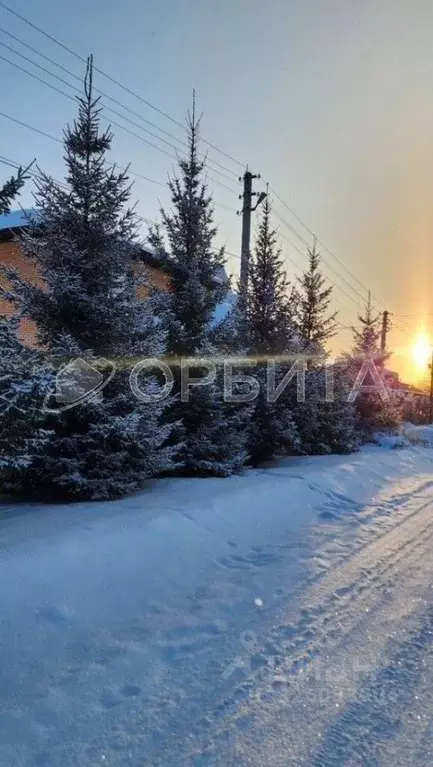 Дом в Тюменская область, Тюменский муниципальный округ, пос. ... - Фото 2
