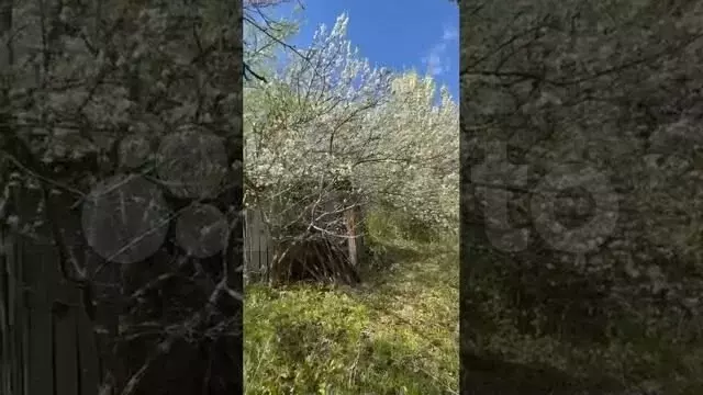 Дача 17,7 м на участке 5,4 сот. - Фото 1