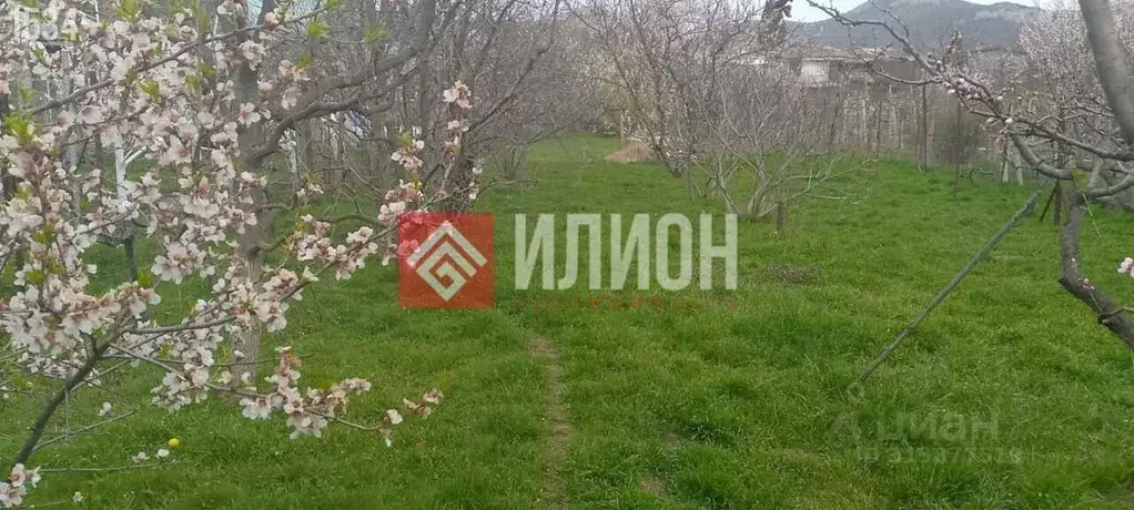 Участок в Крым, Феодосия городской округ, Щебетовка пгт  (5.0 сот.) - Фото 0