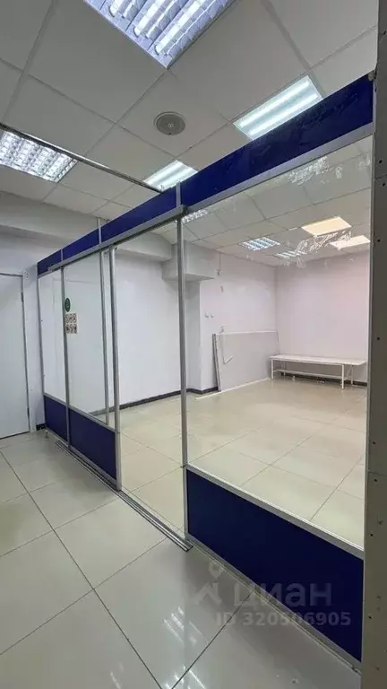 Торговая площадь в Чувашия, Чебоксары просп. 9-й Пятилетки, 16к1 (24 ... - Фото 2