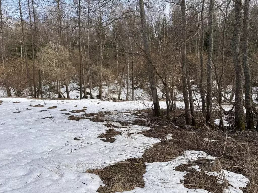 Дом в Московская область, Домодедово городской округ, д. Калачево  ... - Фото 1
