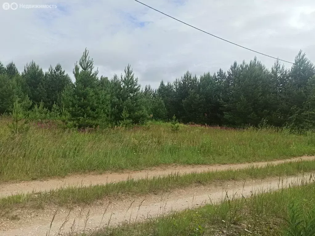 Участок в Озерницкое сельское поселение, деревня Конец (20 м) - Фото 1