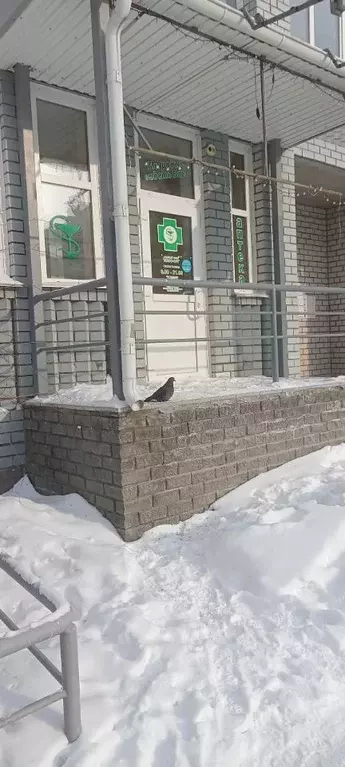 Помещение свободного назначения в Алтайский край, Барнаул Взлетная ... - Фото 2