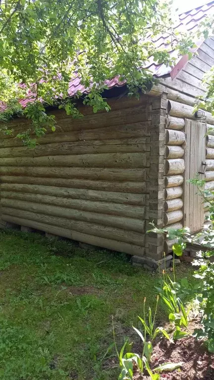 Участок в Ленинградская область, Гатчинский муниципальный округ, Чаща ... - Фото 1