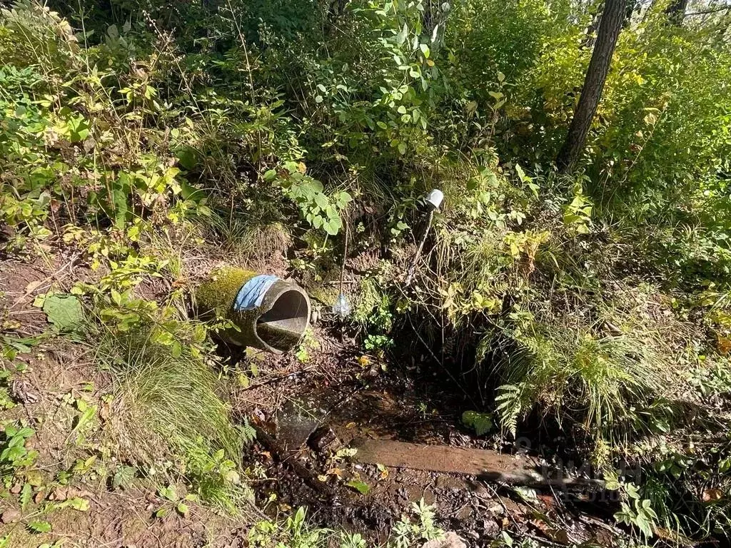 Дом в Хабаровский край, Имени Лазо район, Переяславка рп Центральная ... - Фото 2