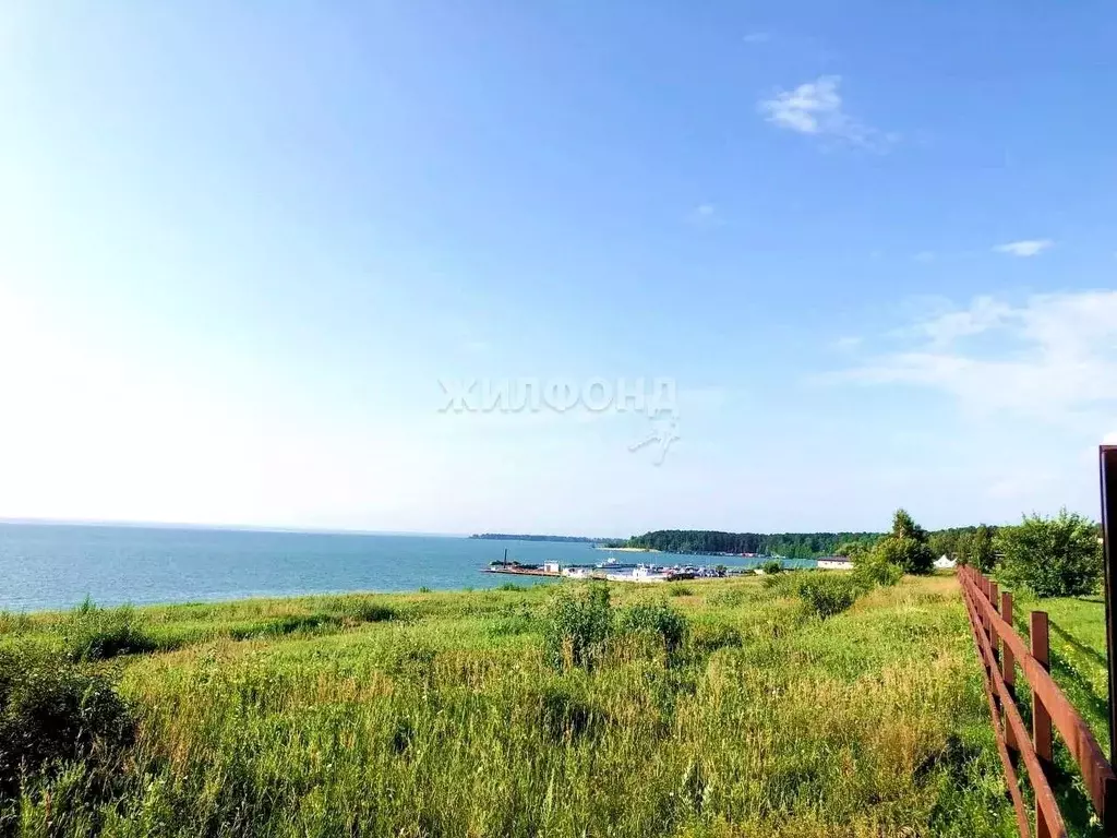 Участок в Новосибирская область, Новосибирский район, с. Боровое  ... - Фото 1