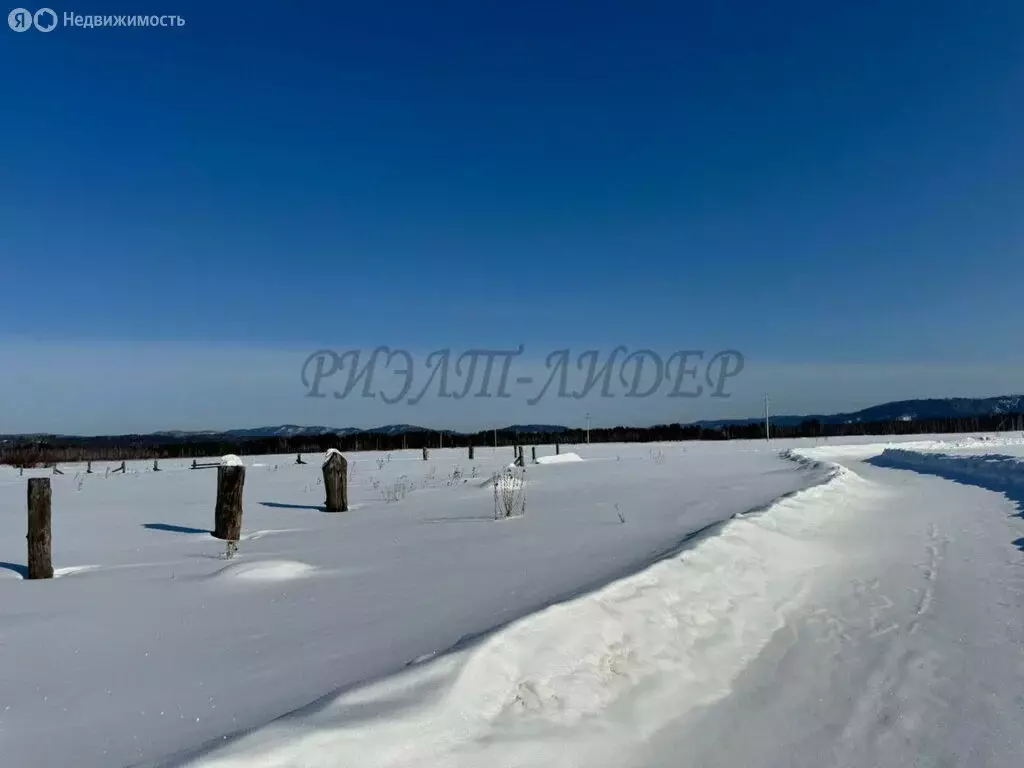 Участок в Чойский район, Ыныргинское сельское поселение, село ... - Фото 0