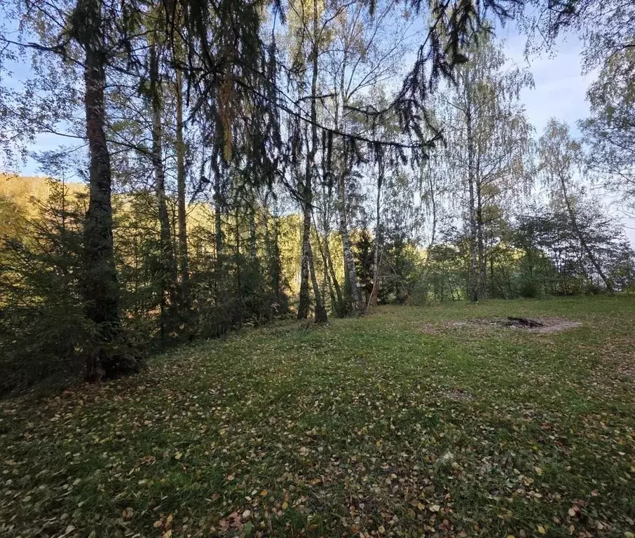 Участок в Нижегородская область, Чкаловск муниципальный округ, с. ... - Фото 1