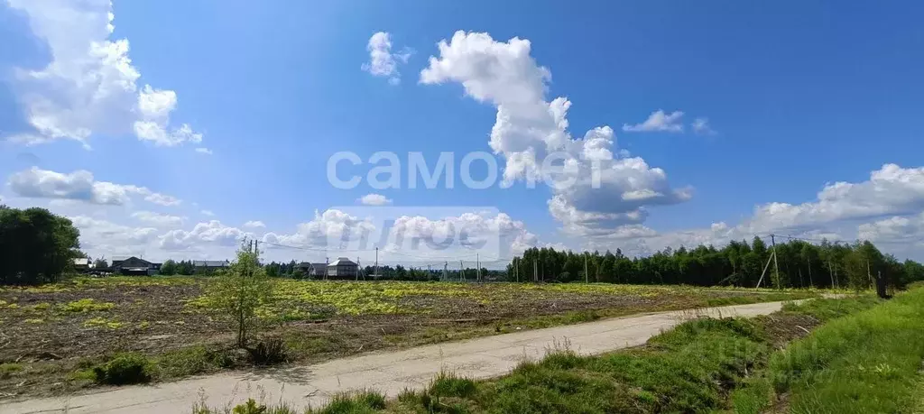 Участок в Московская область, Солнечногорск городской округ, Дачной ... - Фото 1