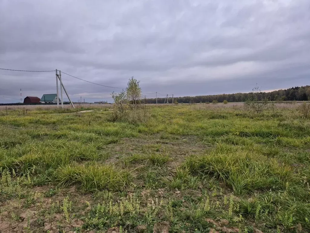 Участок в Московская область, Чехов муниципальный округ, с. Стремилово ... - Фото 2