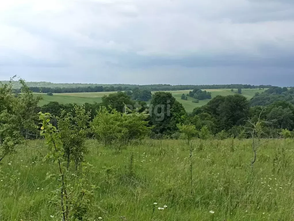 Участок в Адыгея, Майкопский район, Абадзехское с/пос, Севастопольская ... - Фото 2