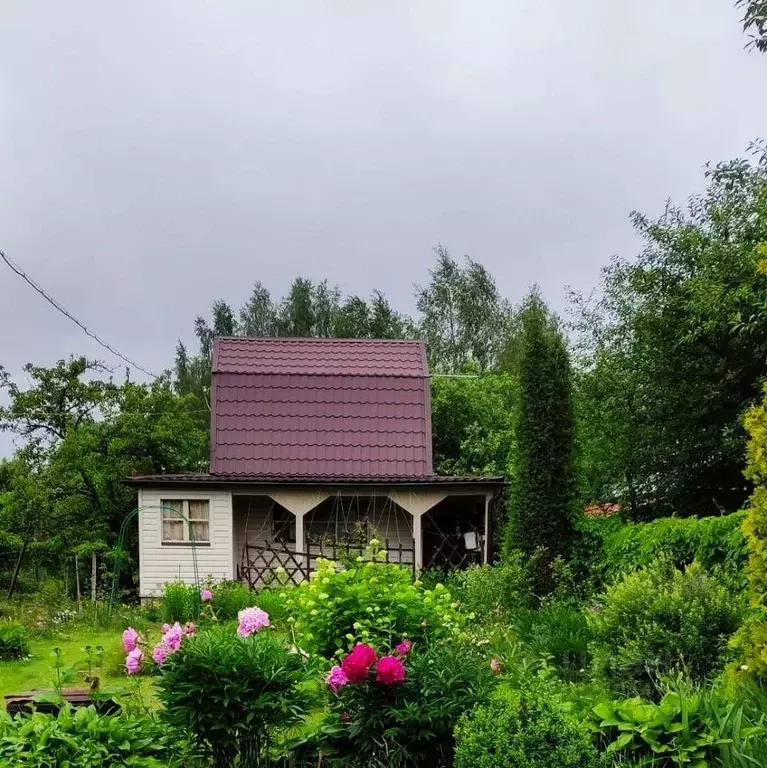 Дача, 40 м - Фото 1