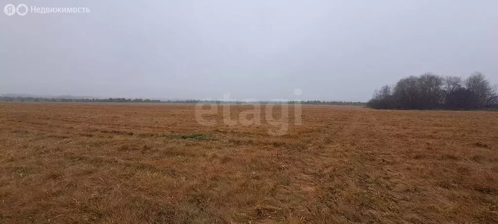 Участок в Огневское, улица Согласия (6 м) - Фото 1