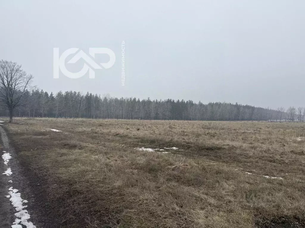 Участок в Воронежская область, Воронеж Никольское мкр, ул. Глинки (6.3 ... - Фото 1