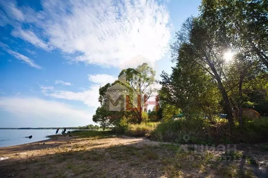 Участок в Тверская область, Конаковский муниципальный округ, д. ... - Фото 1