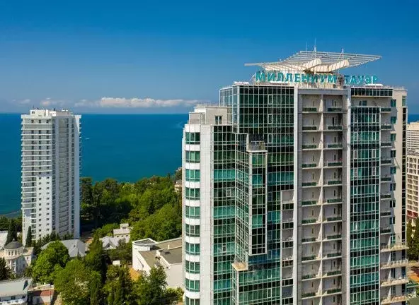 3-к кв. Краснодарский край, Сочи Светлана мкр, ул. Гагринская, 10 ... - Фото 2