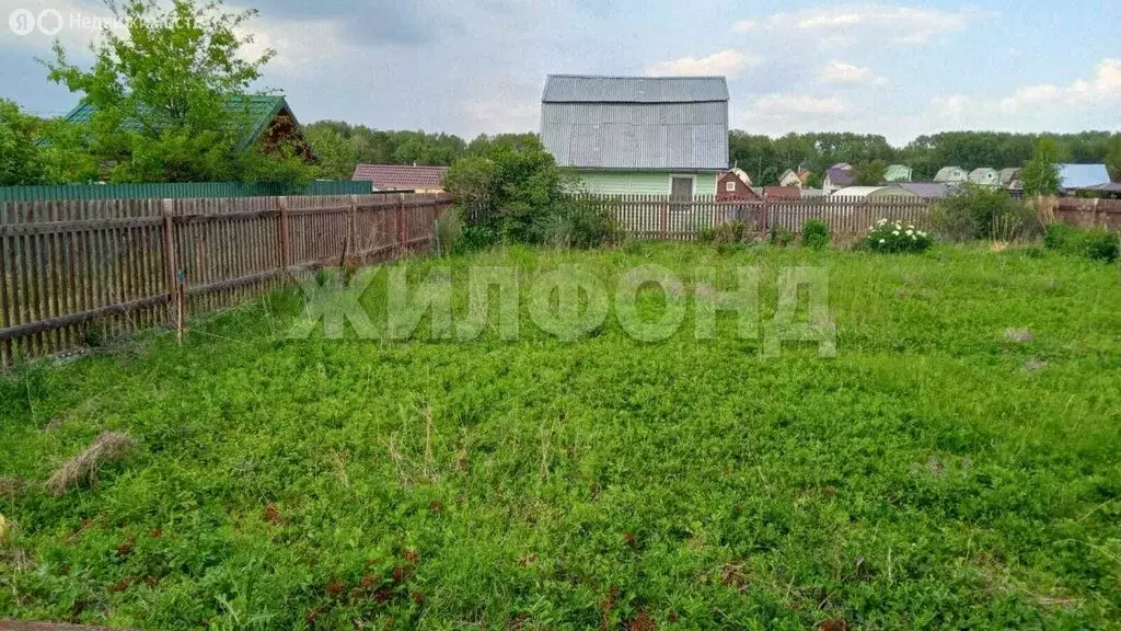 Участок в Бердск, садоводческое некоммерческое товарищество Радостное ... - Фото 1