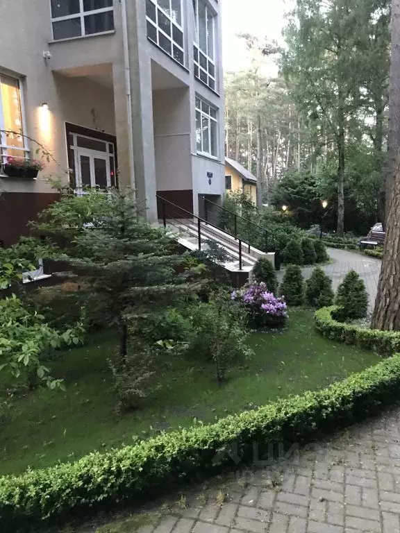 2-к кв. Калининградская область, Светлогорск Садовая ул., 12 (65.0 м) - Фото 1