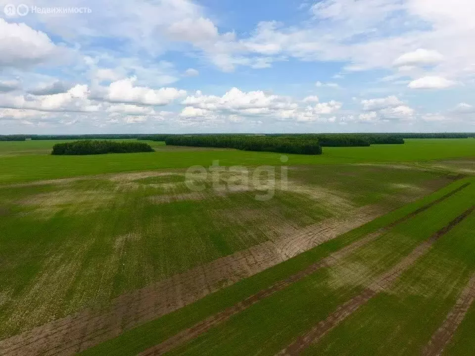 Участок в Тюменский муниципальный округ, Горьковское муниципальное ... - Фото 2