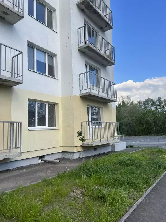 3-к кв. Саратовская область, Саратов Брянская ул., 12 (67.3 м) - Фото 1