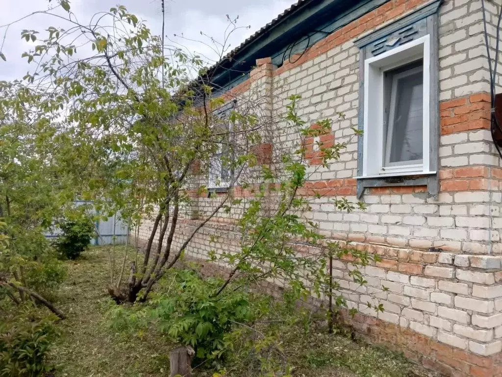 Дом в Саратовская область, Балашовский район, Родничковское ... - Фото 0