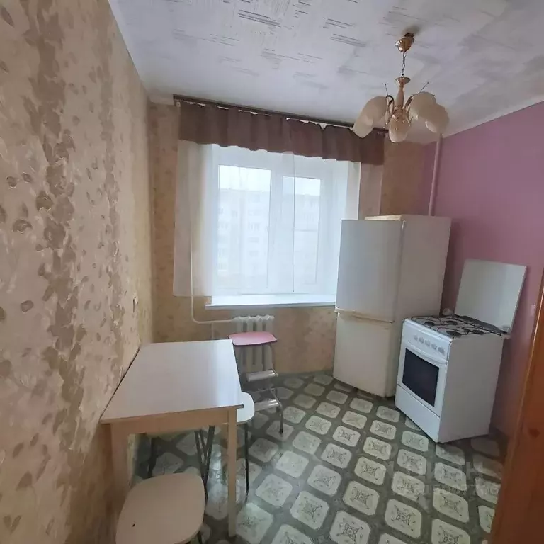 1-к кв. Тамбовская область, Тамбов городской округ, пос. Строитель, ... - Фото 1