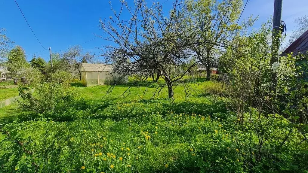 Участок в Ленинградская область, Кировское городское поселение, ... - Фото 1