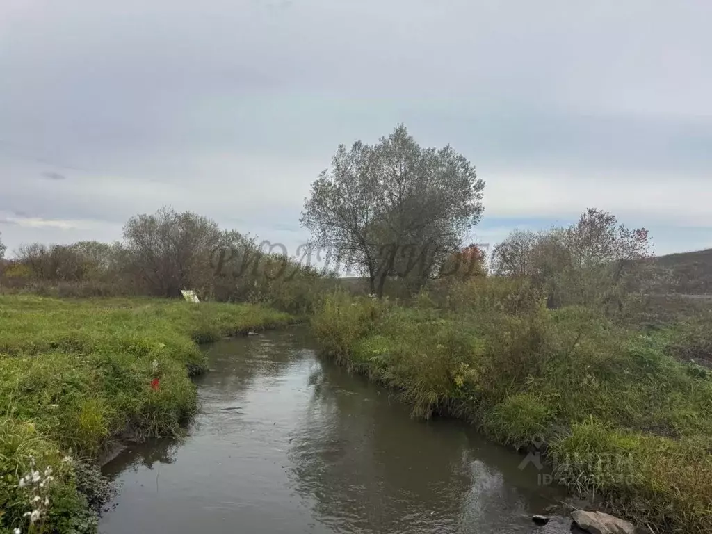 Участок в Алтайский край, Алтайский район, Айский сельсовет, с. Ая  ... - Фото 1