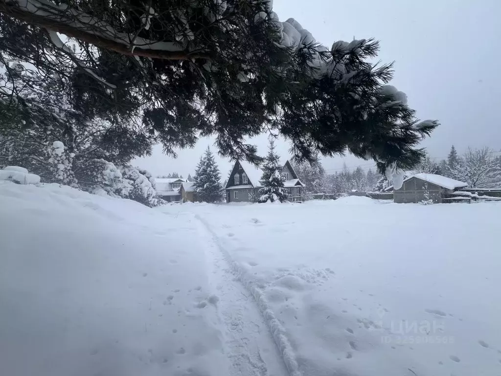 Дом в Московская область, Пушкинский городской округ, д. Мураново ул. ... - Фото 2