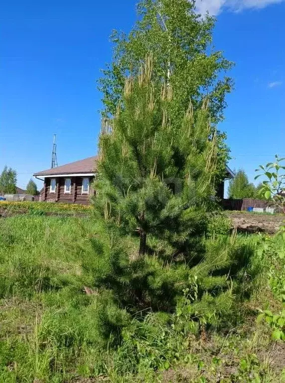 Участок в Томская область, Томский район, с. Корнилово, Зеленая ... - Фото 1
