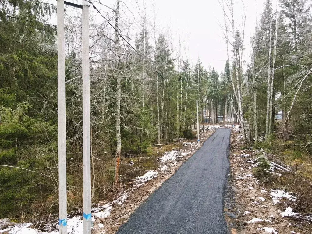 Участок в Московская область, Дмитровский муниципальный округ, пос. ... - Фото 1