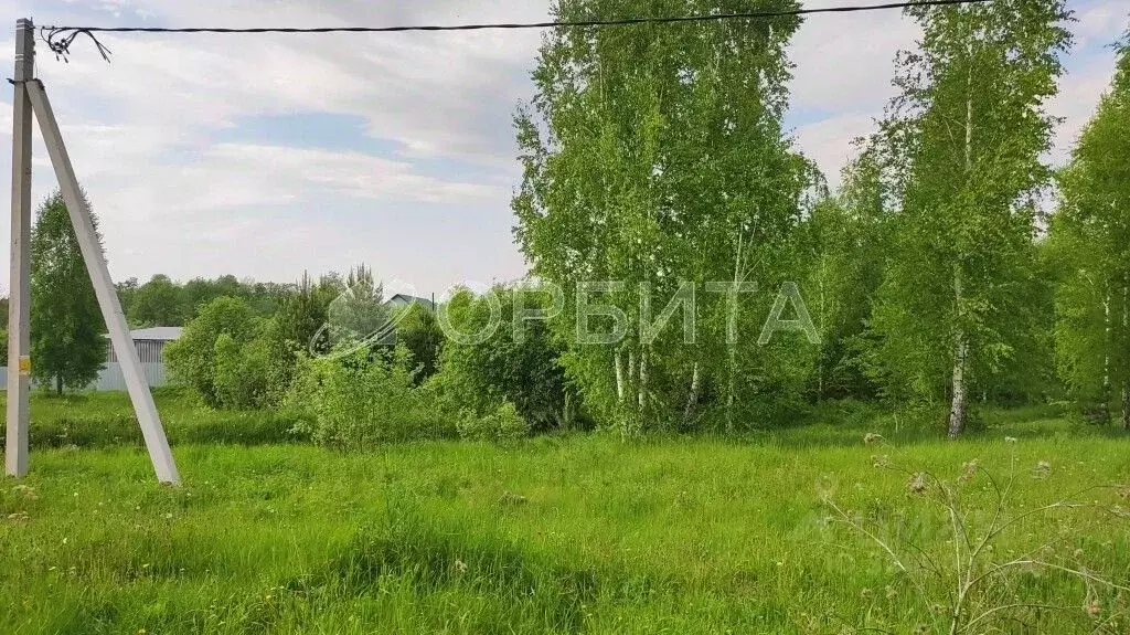 Участок в Тюменская область, Тюменский район, д. Головина Советская ... - Фото 1