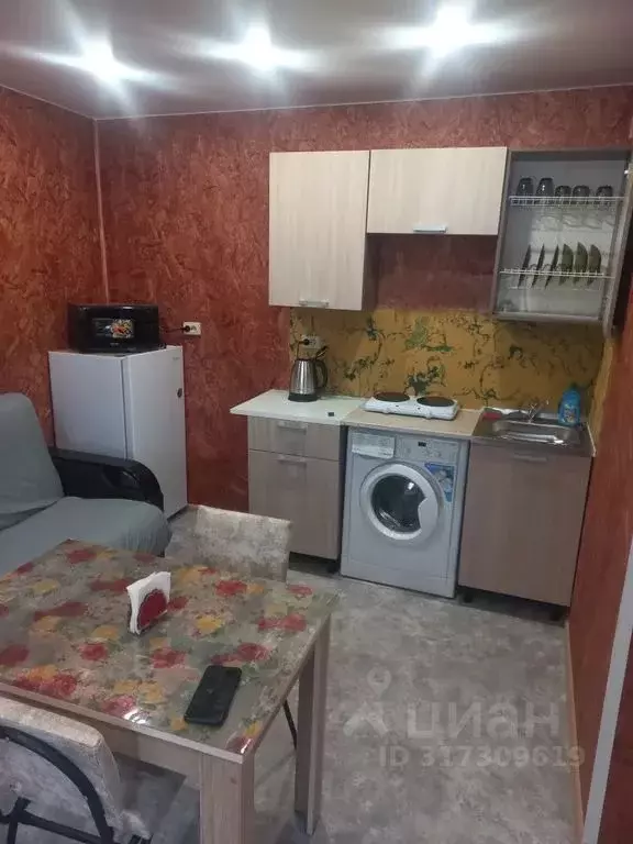 Студия Приморский край, Артем Амурская ул., 24 (30.0 м) - Фото 0
