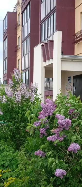 Продаётся 1-к квартира, 33.3 м - Фото 0
