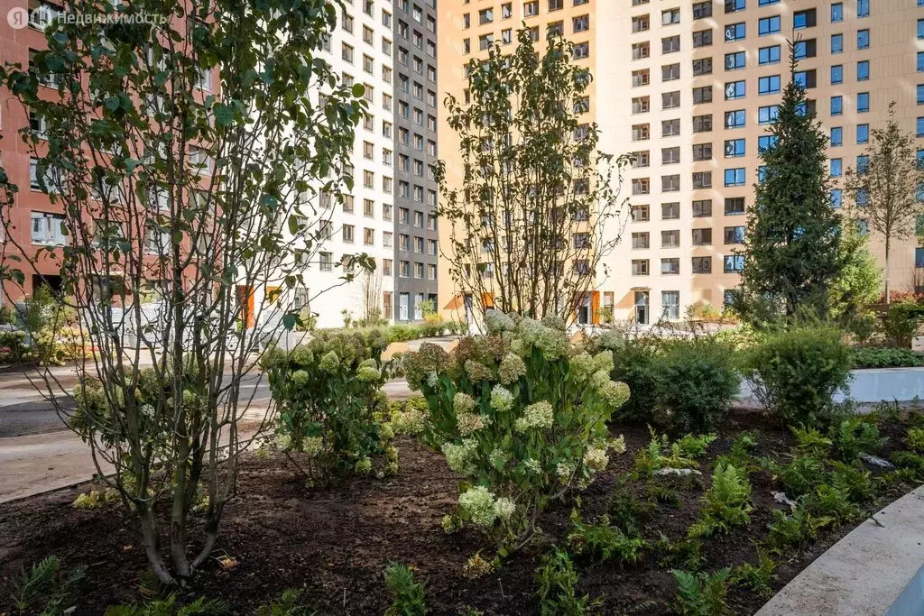 Помещение свободного назначения (3.9 м) - Фото 2